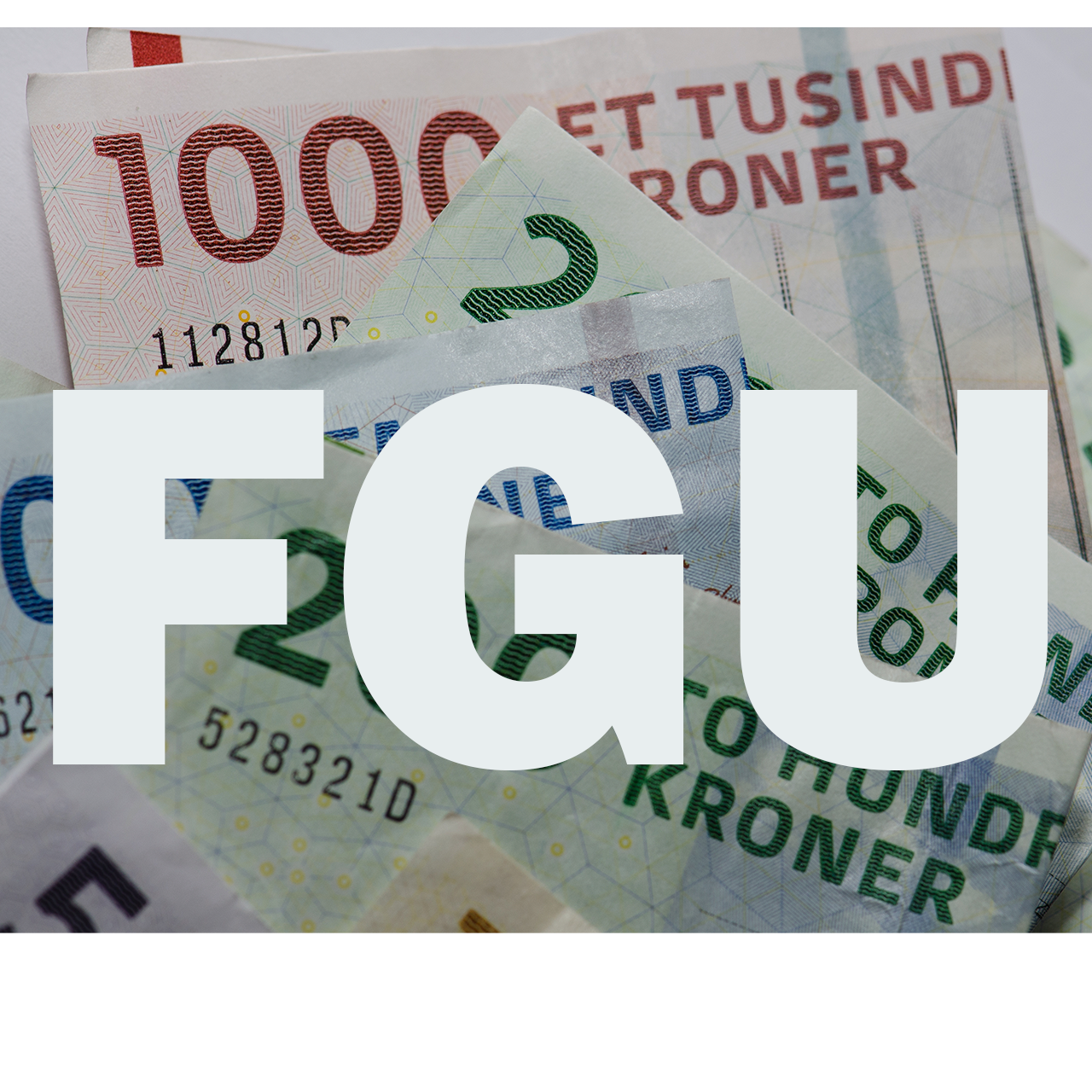 Finansieringen af FGU’en er på plads